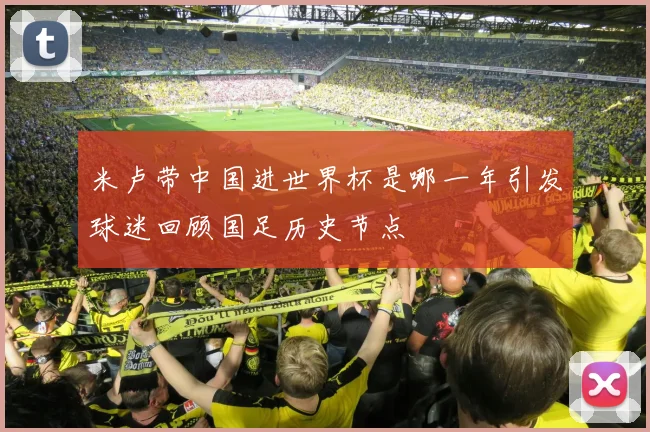 米卢带中国进世界杯是哪一年引发球迷回顾国足历史节点