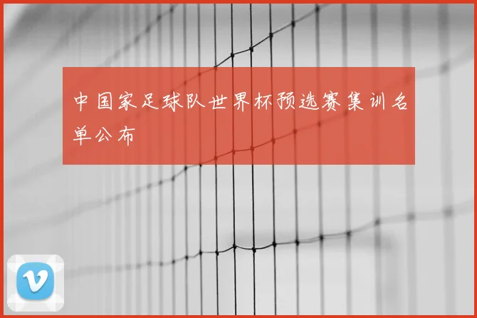 中国家足球队世界杯预选赛集训名单公布